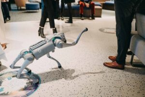 DSC06048-HD-©Denys-Schelfhaut