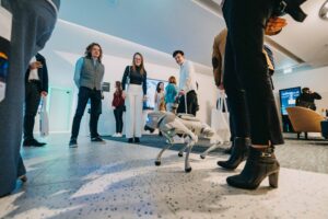 DSC06092-HD-©Denys-Schelfhaut